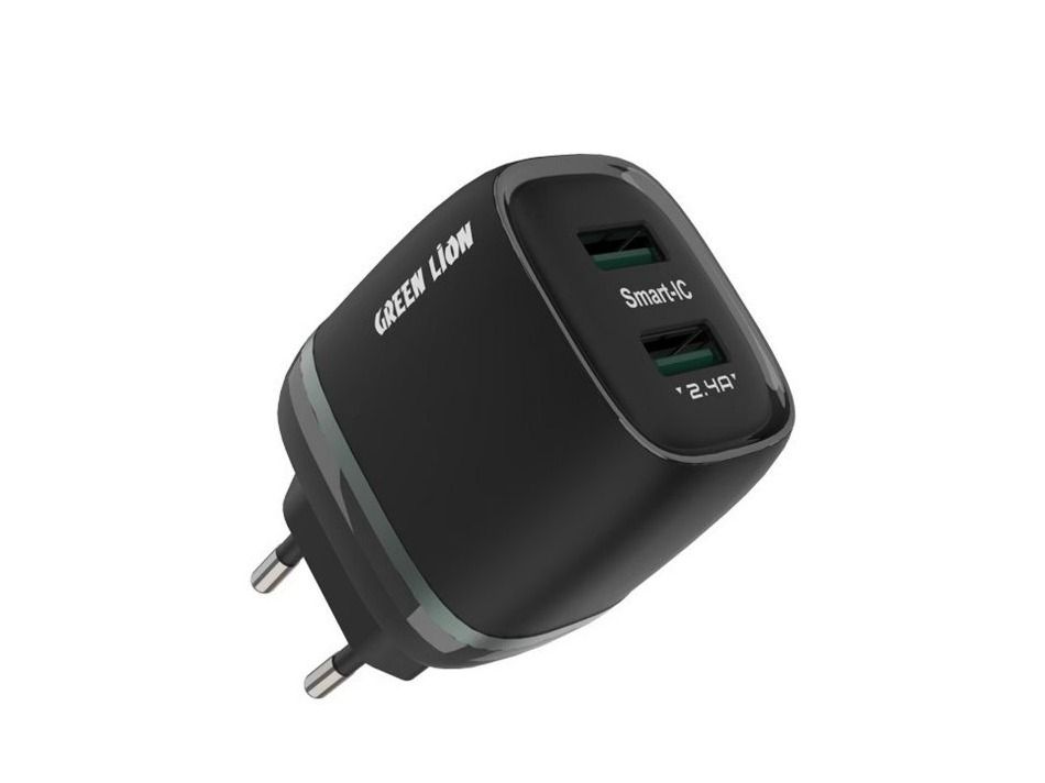 Green Lion Dual USB 12W Wall Charger With USB-A To USB-C Cable EU