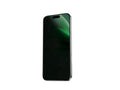 Green Lion Picasso 3D Privacy Glass With Alignment Tray iPhone 16 Pro