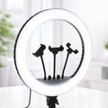 RL-21 LED Soft Ring Light with Tripod