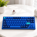 Hot Swappable Mechanical Keyboard – RGB TKL Gaming Keyboard Keychron Q3-O3